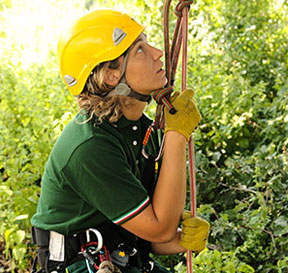 Dottoressa Agronoma Sara Sacerdote